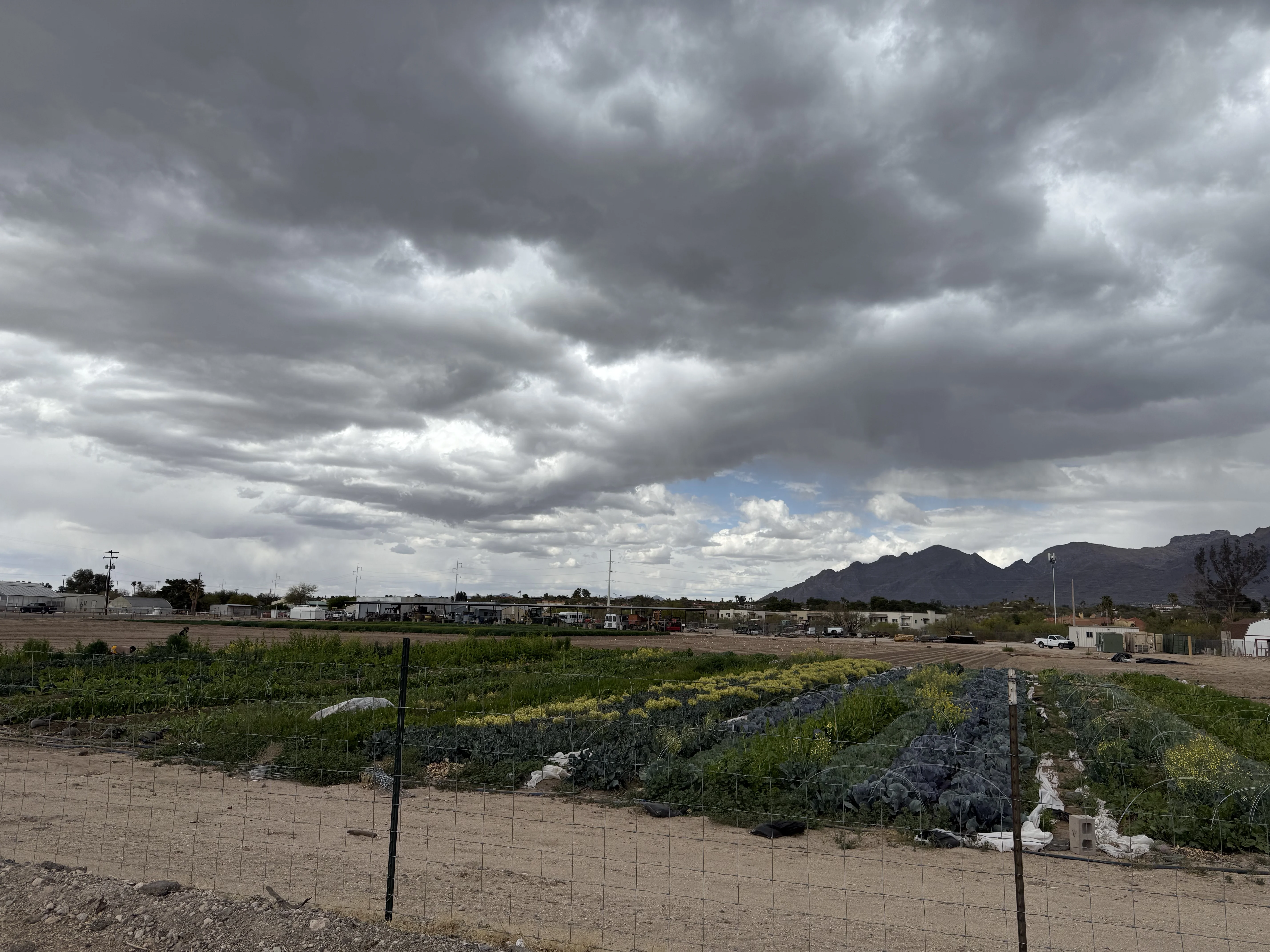 Nature Scanner build progress photo 23