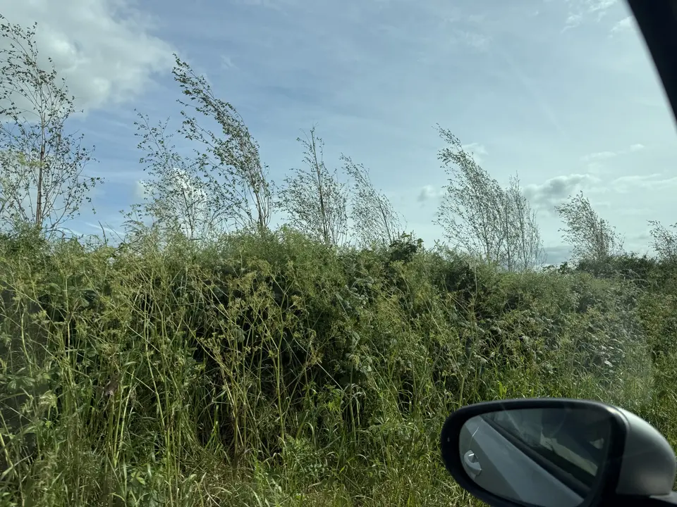 June 5 field photo 25