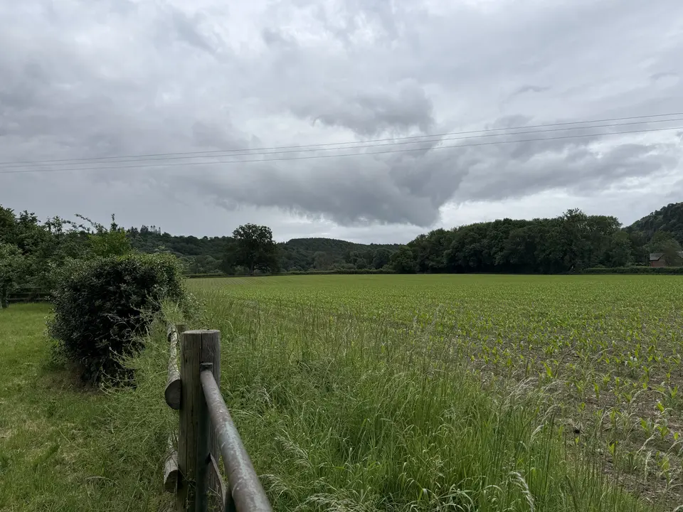 June 5 field photo 40