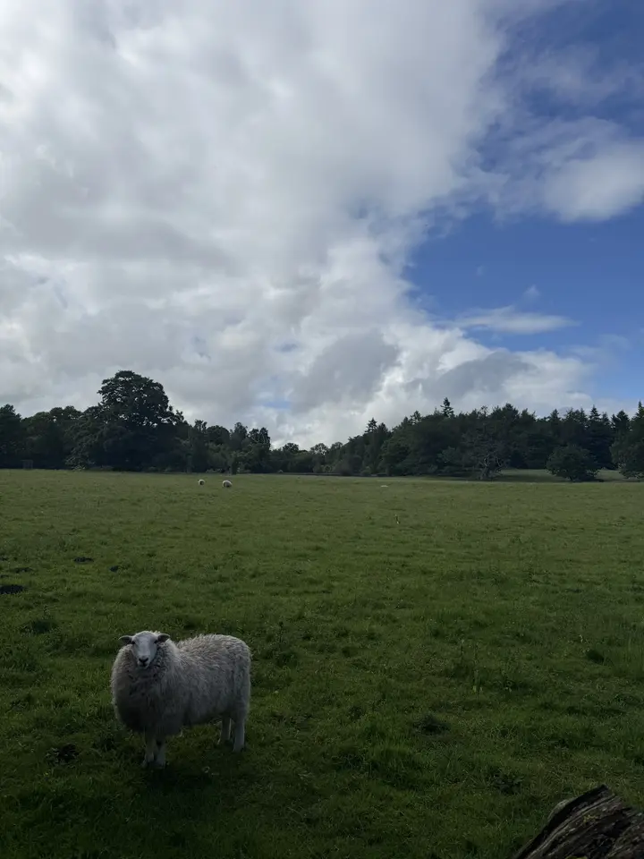 June 6 field photo 53
