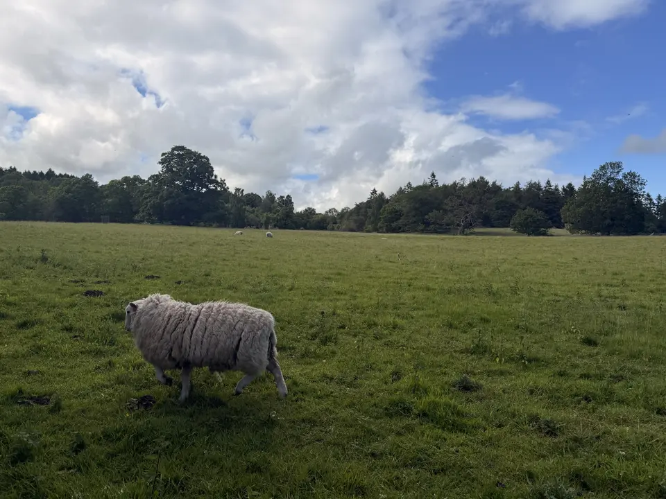 June 6 field photo 56