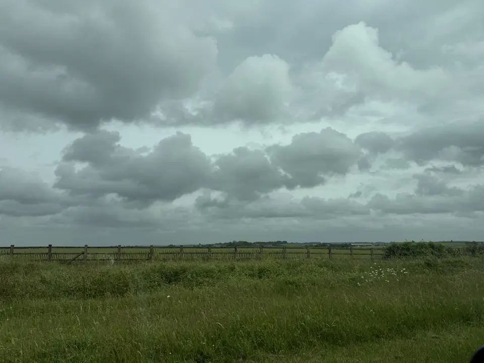 June 7 field photo 10