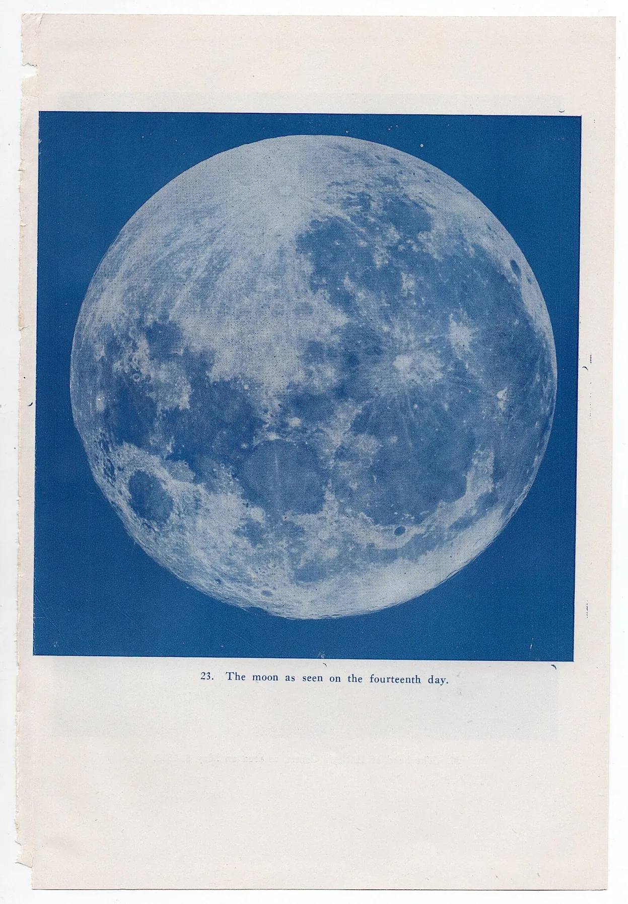 Plate 23. The moon as seen on the fourteenth day.