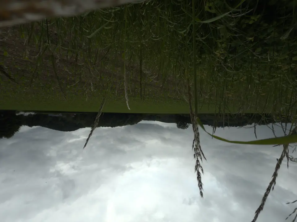 June 5 field photo 35