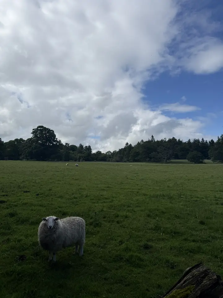 June 6 field photo 54
