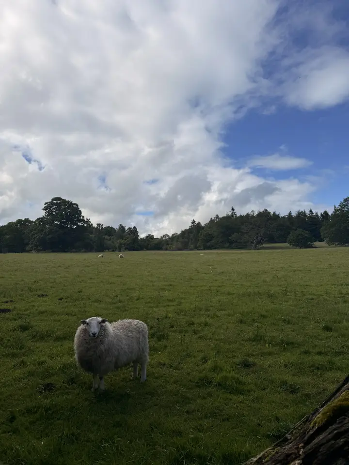 June 6 field photo 55